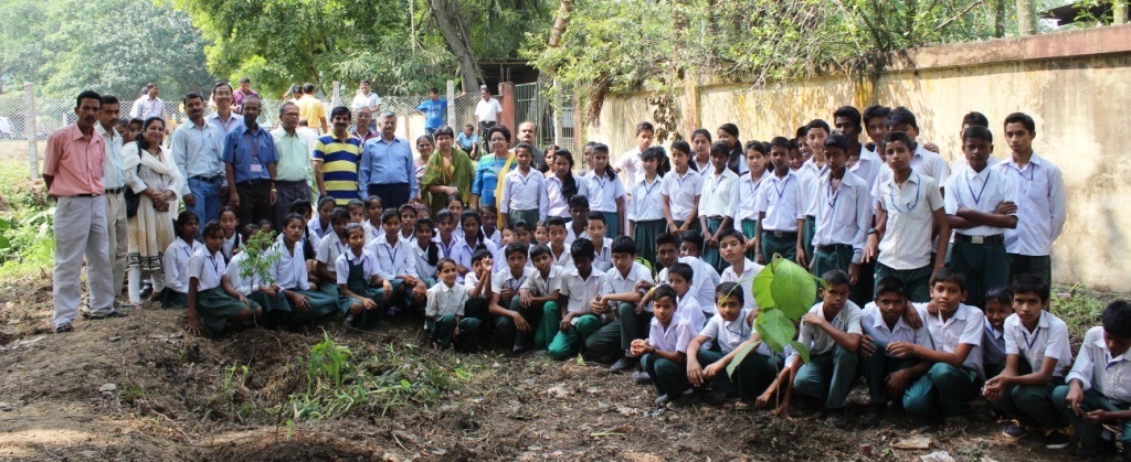 Tree Plantation school students at Sector-I area, Gauhati Tree Plantation school students at Sector-I area, Gauhati