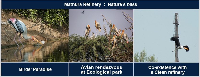 Mathura Rafinery :Nature's bliss Mathura Rafinery :Nature's bliss
