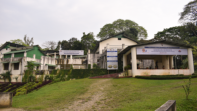 Nursing College